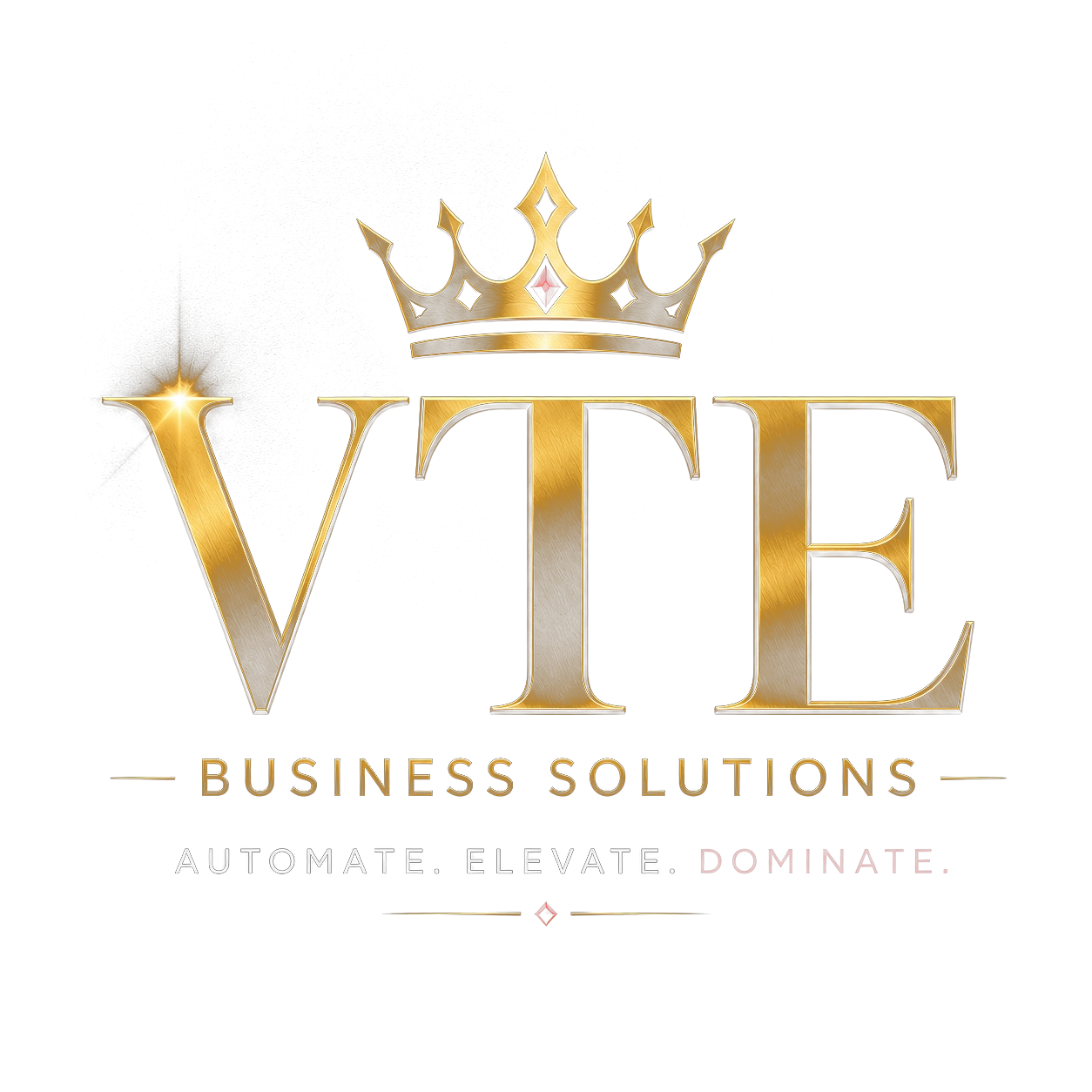 VTE Business Solutions official logo
